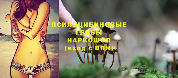 кристаллы Богородицк