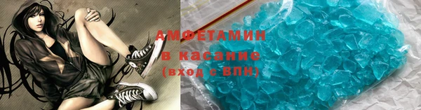 индика Беломорск