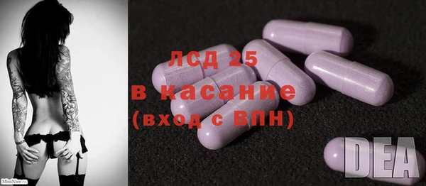 индика Беломорск