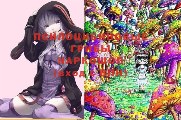 jwh Белокуриха