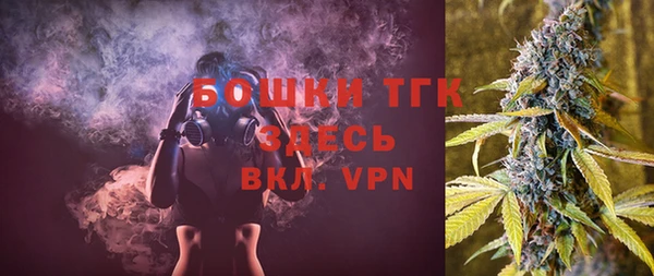 индика Беломорск