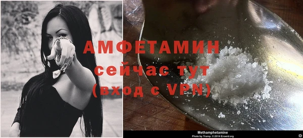 индика Беломорск