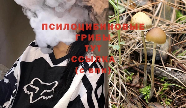 ешки Богданович